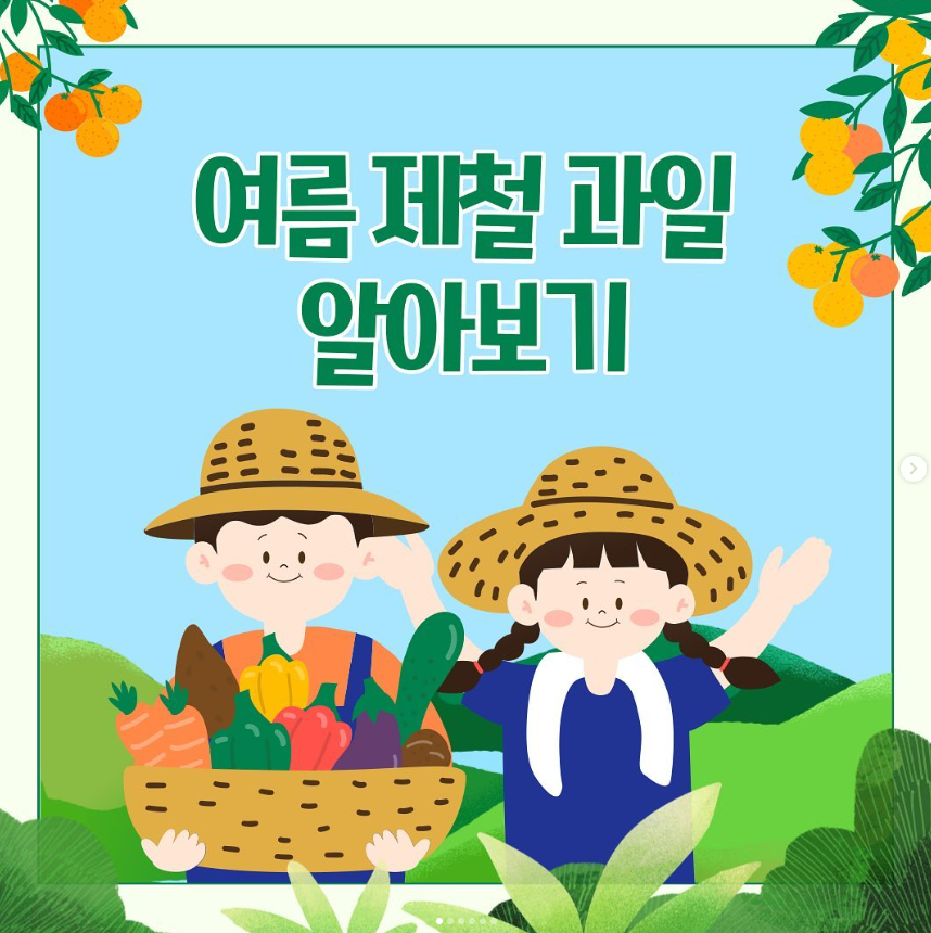 여름 제철 과일은 무엇이 있을까?